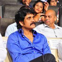 Nagarjuna Akkineni - Telugu Stars at 17th International Childrens Film Festival | Picture 124590